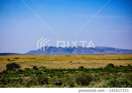 Kenya Photographers By Antony Trivet Photography 141017351