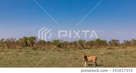 Kenya Photographers By Antony Trivet Photography 141017355