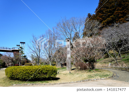 水戶梅花節,2026年3月12日,#127 水戶梅花節,2026年3月12日,#127 141017477
