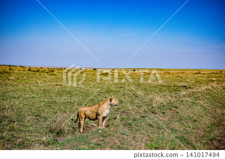 Kenya Photographers By Antony Trivet Photography 141017494