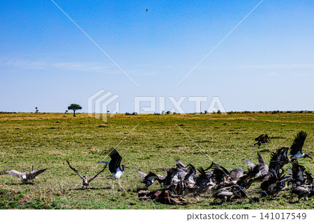 Kenya Photographers By Antony Trivet Photography Kenya Photographers By Antony Trivet Photography 141017549
