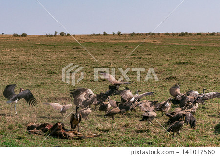 Kenya Photographers By Antony Trivet Photography Kenya Photographers By Antony Trivet Photography 141017560