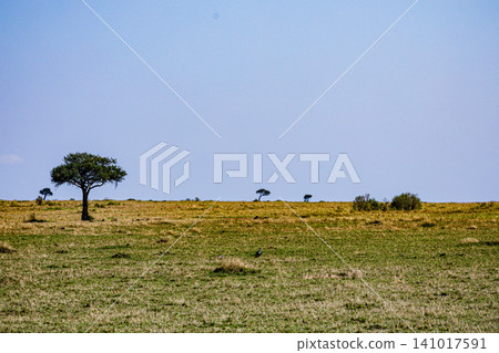 Kenya Photographers By Antony Trivet Photography Kenya Photographers By Antony Trivet Photography 141017591
