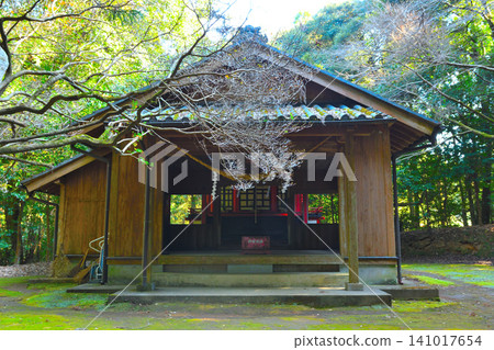 Haneda Shrine Haneda Shrine 141017654
