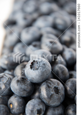 A close-up of fresh blueberries A close-up of fresh blueberries 141017660