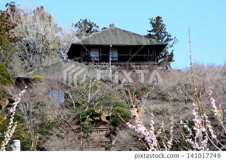 Mito Plum Blossom Festival 2026-03-12 #131 141017749