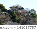 Mito Plum Blossom Festival 2026-03-12 #139 141017757