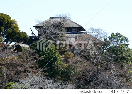 Mito Plum Blossom Festival 2026-03-12 #139 Mito Plum Blossom Festival 2026-03-12 #139 141017757