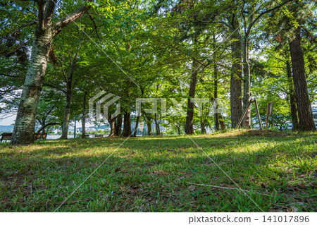 Zeze Castle Ruins Park, Otsu City, Shiga Prefecture Zeze Castle Ruins Park, Otsu City, Shiga Prefecture 141017896