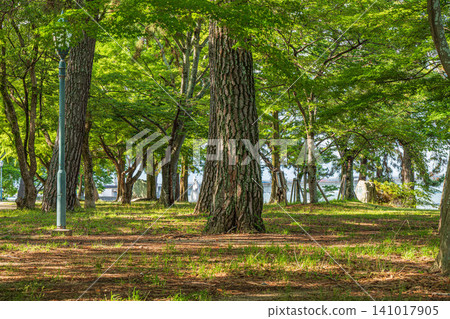 Zeze Castle Ruins Park, Otsu City, Shiga Prefecture 141017905