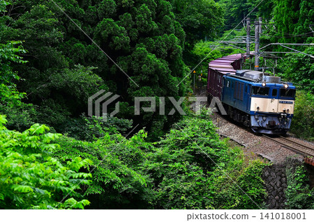 白眉線貨運列車(EF64 1043) 白眉線貨運列車(EF64 1043) 141018001