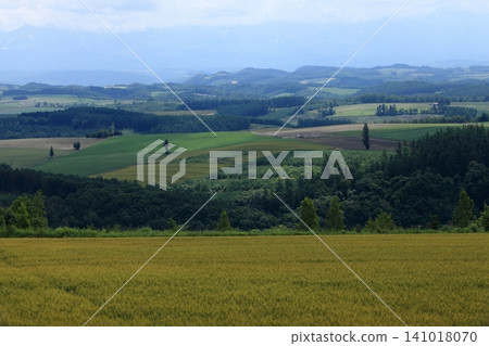 Biei Hills 141018070