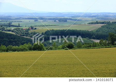 Biei no Oka Biei no Oka 141018071