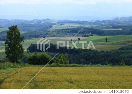 Biei no Oka Biei no Oka 141018073