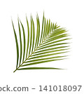 Green palm leaf isolated on white background 141018097