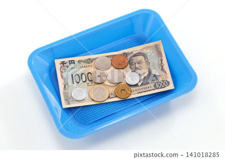 Money and coin tray 141018285