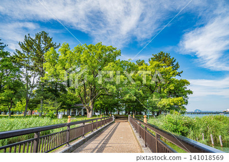 Zeze Castle Ruins Park, Otsu City, Shiga Prefecture 141018569
