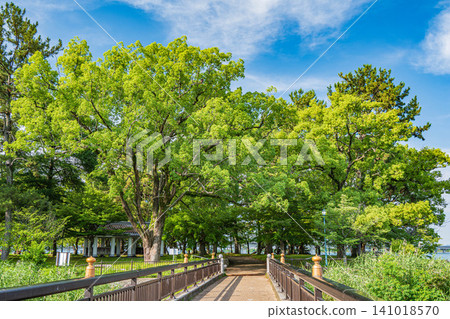 滋賀縣大津市瀨澤城跡公園 滋賀縣大津市瀨澤城跡公園 141018570