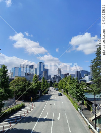 東京澀谷的城市景觀:初夏的代代木公園 東京澀谷的城市景觀:初夏的代代木公園 141018632