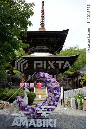 Amabiki Kannon Temple, Tahoto Pagoda, Hydrangea Festival Amabiki Kannon Temple, Tahoto Pagoda, Hydrangea Festival 141018718