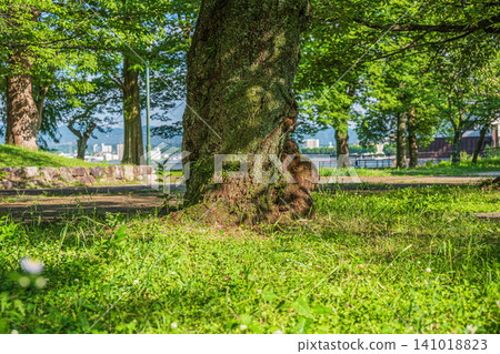 Zeze Castle Ruins Park, Otsu City, Shiga Prefecture Zeze Castle Ruins Park, Otsu City, Shiga Prefecture 141018823