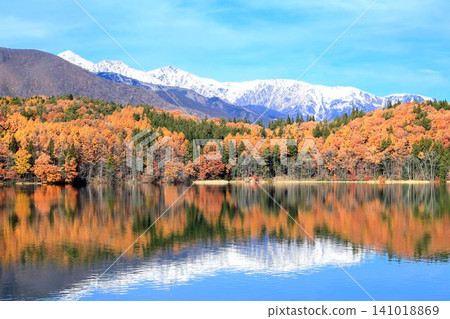 Autumn leaves of Aoki lake Autumn leaves of Aoki lake 141018869
