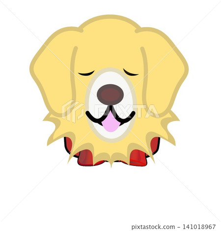 Illustration of golden retriever face Illustration of golden retriever face 141018967