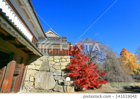Autumn leaves of Ueda castle 141019048