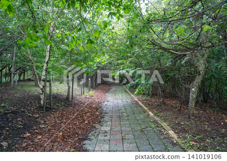 Chiribetsu Park/Rakuzan (Muroran City, Hokkaido) 141019106