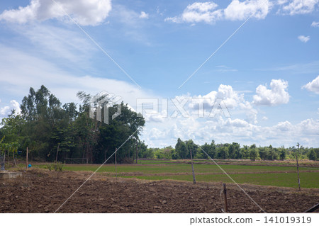 Sky cloud field tree landscape grass nature rural farm horizon Sky cloud field tree landscape grass nature rural farm horizon 141019319