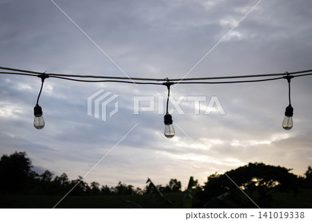 String light bulb against cloudy dusk sky, outdoor garden silhouette at sunset String light bulb against cloudy dusk sky, outdoor garden silhouette at sunset 141019338
