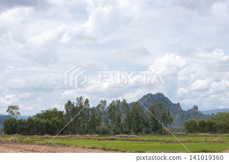 Cloudy sky mountain tree field landscape nature rural green horizon cloud 141019360