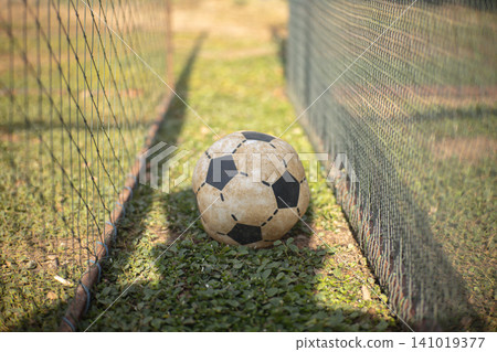 Soccer ball on grassy path between wire fence in outdoor field, sunlit and abandoned 141019377