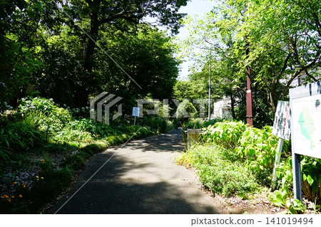 Kibogaoka Mizunomori Park 141019494