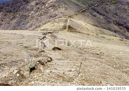 三重縣稻部市龍嶽山登頂健行路線:鈴鹿七山 三重縣稻部市龍嶽山登頂健行路線:鈴鹿七山 141019535