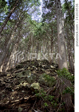 三重縣稻部市龍嶽山登頂健行路線:鈴鹿七山 三重縣稻部市龍嶽山登頂健行路線:鈴鹿七山 141019536