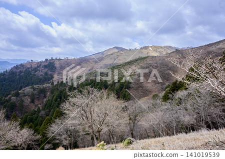 三重縣稻部市龍嶽山登頂健行路線:鈴鹿七山 三重縣稻部市龍嶽山登頂健行路線:鈴鹿七山 141019539