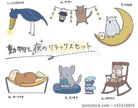 Animals and Nighttime Relaxation Set 141019856