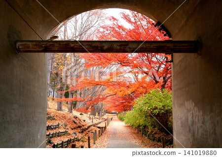 Autumn leaves of Ueda castle ruins park Autumn leaves of Ueda castle ruins park 141019880