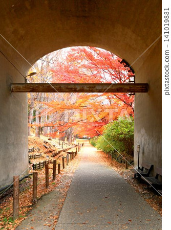 Autumn leaves of Ueda castle ruins park Autumn leaves of Ueda castle ruins park 141019881