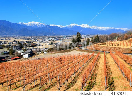 Autumn leaves in vineyards and the Northern Alps Autumn leaves in vineyards and the Northern Alps 141020213