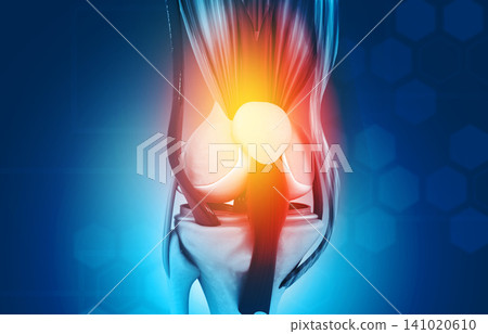 Anatomy of knee joint Anatomy of knee joint 141020610