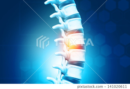 Human spine, vertebrae anatomy 141020611