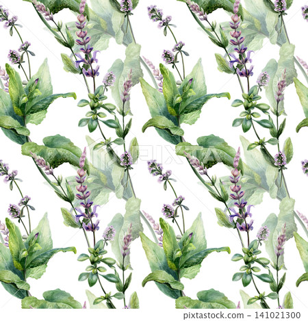Sage and thyme mix seamless pattern watercolor illustration. Botanical herbs blend for organic cough syrup pharmacy branding, throat sore remedy packaging, antiinflammatory medical wellness tea print. Sage and thyme mix seamless pattern watercolor illustration. Botanical herbs blend for organic cough syrup pharmacy branding, throat sore remedy packaging, antiinflammatory medical wellness tea print. 141021300