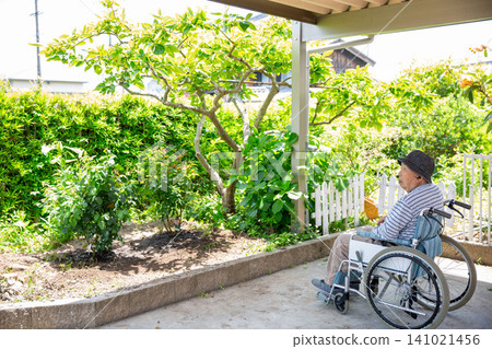 A man in a wheelchair looking at his garden. A man in a wheelchair looking at his garden. 141021456