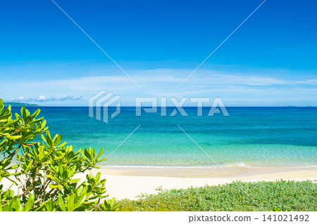 Scenery of Nerome Beach in Ogimi Village, Okinawa Prefecture Scenery of Nerome Beach in Ogimi Village, Okinawa Prefecture 141021492