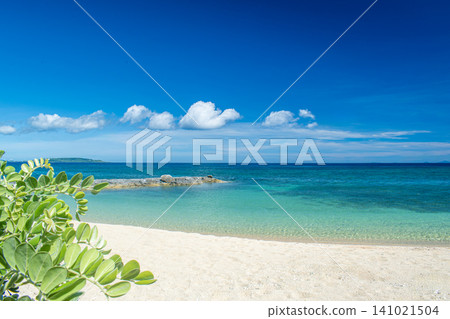 Scenery of Nerome Beach in Ogimi Village, Okinawa Prefecture Scenery of Nerome Beach in Ogimi Village, Okinawa Prefecture 141021504