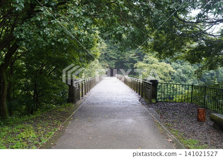 沿著廢棄鐵路線的步道,綠樹成蔭,還有一座歷史悠久的混凝土橋。 沿著廢棄鐵路線的步道,綠樹成蔭,還有一座歷史悠久的混凝土橋。 141021527