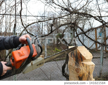 A man's hands firmly grip a chainsaw, cutting through a vertically positioned log. Creating a wooden figure or craft using a handheld chainsaw in a private yard with trees and a fence. 141021584