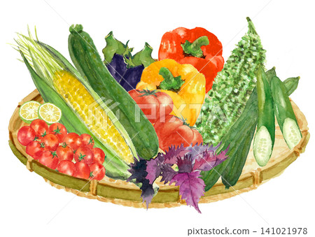 Watercolor illustration of a basket of seasonal summer vegetables [Hand-drawn] White background, cutout, with copy space 141021978